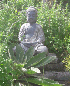 THE AMAZING SLIDESHOW ADDON!