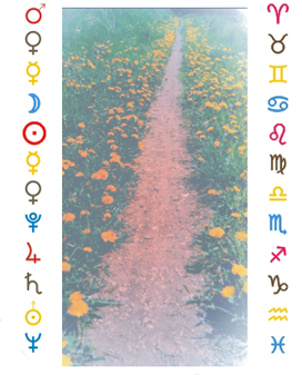 THE AMAZING SLIDESHOW ADDON!